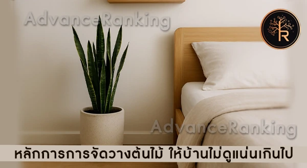 แนะนำต้นไม้ในบ้าน สำหรับพื้นที่จำกัด