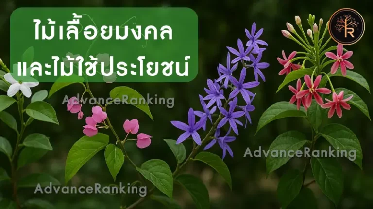 ไม้เลื้อยมงคล และไม้ใช้ประโยชน์