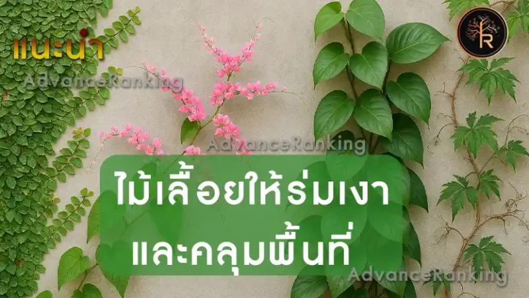 ไม้เลื้อยให้ร่มเงา และคลุมพื้นที่