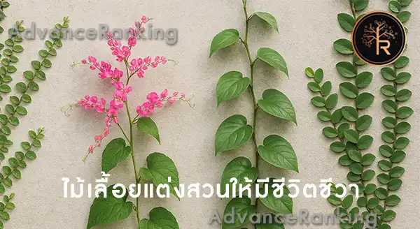 ไม้เลื้อยให้ร่มเงา และคลุมพื้นที่