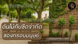 ต้นไม้กับขีดจำกัด ของกรอบมนุษย์