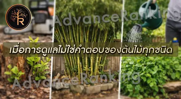 ต้นไม้ที่ท้าทายการจัดการ ของมนุษย์