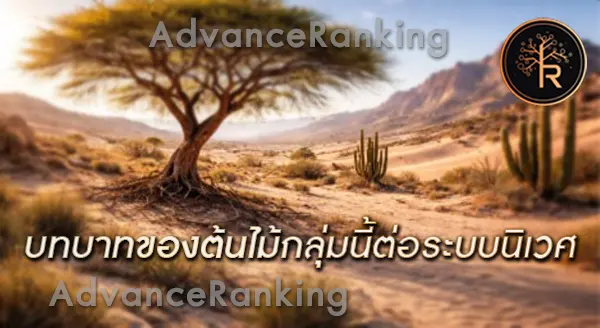 ต้นไม้ที่อยู่ได้ในสภาพสุดขั้ว ได้อย่างไร