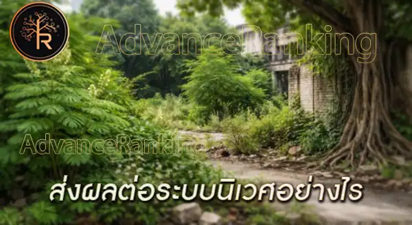 ต้นไม้ที่โตแบบไม่ขออนุญาต คืออะไร