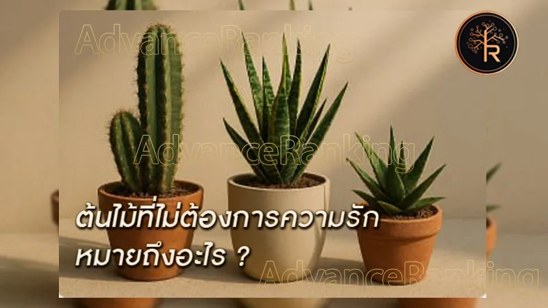 ต้นไม้ที่ไม่ต้องการความรัก หมายถึงอะไร ?