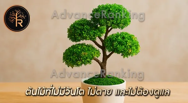 ต้นไม้ที่ไม่มีวันโต เพราะอะไร