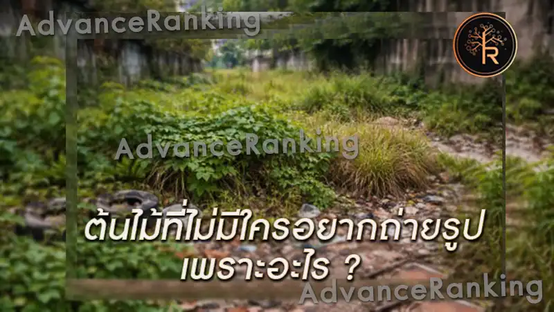 ต้นไม้ที่ไม่มีใครอยากถ่ายรูป เพราะอะไร คนจึงไม่นิยม 