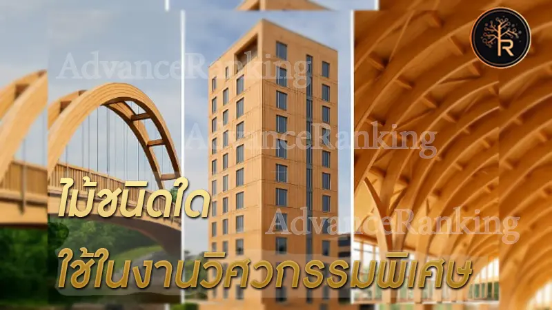 ข้อมูล ไม้ชนิดใด ใช้ในงานวิศวกรรมพิเศษ 