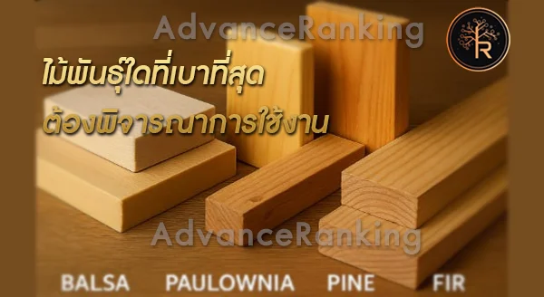 ไม้พันธุ์ใด ที่เบาที่สุด